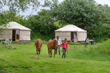 Double Room On Farm Beaugies-sous-Bois Esterno foto