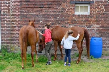 Double Room On Farm Beaugies-sous-Bois Esterno foto